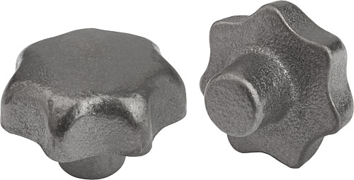 Kipp K0151.106 STERNGRIFF GJL, FORM A, D1=32 - KIPP K0151-A Sterngriffe DIN 6336 aus Grauguss - Fo