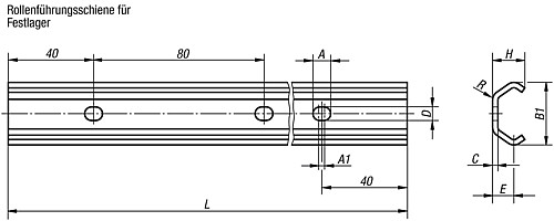 Norelem 21320-120X0800 FÜHRUNGSSCHIENE, FESTLAGER, L=800 MM - Norelem 21320-F Rollenfuehrungsschienen fuer Festlager