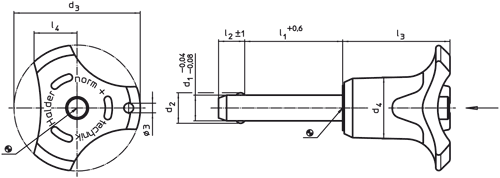 Halder 22370.0506 Kugelsperrbolzen selbstsichernd Ø 16 x 30, blau - Kugelsperrbolzen Kugelsperrbolzen - selbstsichernd - Durchmesser 5 x 15 - orange orange