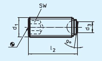 Halder 22720.0522 Kugeldruckschraube ohne Kopf M 8 x 10,4, abgeflachte Kugel aus Thermoplast, Auflagefläche  plan (verdrehgesichert), rostfreier Stahl - EH 22720 Kugeldruckschrauben ohne Kopf mit abgeflachter Kugel