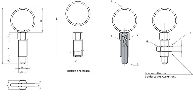 Leschhorn W798C Edelstahl Rastbolzen D 19; H 46; d2 M08; d1 5; s2 5; - Boteco W798C Rastbolzen ohne Rastsperre