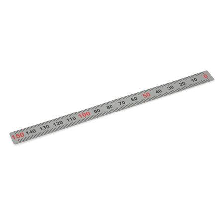 Ganter 711-KUS-100-S-M KUNSTSTOFF MASSSTAB - GN-711-Massstaebe-Kunststoff-Edelstahl