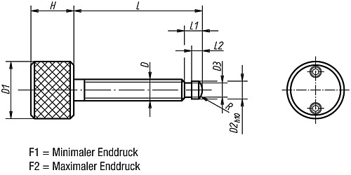 Norelem 07134-06X40 DREHMOMENTSCHRAUBE, MIT KUGELDRUCKZAPFEN  M6X40 - Norelem 07134 Drehmomentschrauben mit Kugeldruckzapfen