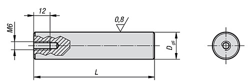 Kipp K0857.25125 ZENTRIERBOLZEN FÜR RICHTBOHRUNG, D=25, L=125 - KIPP K0857 Zentrierbolzen fuer Richtbohrung