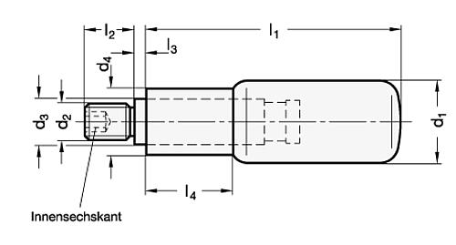 Ganter 798-AL-16-M6 DREHBARER ZYLINDERGRIFF - GN-798-Drehbare-Zylindergriffe-Achsteil-Stahl-verzinkt-Skizze