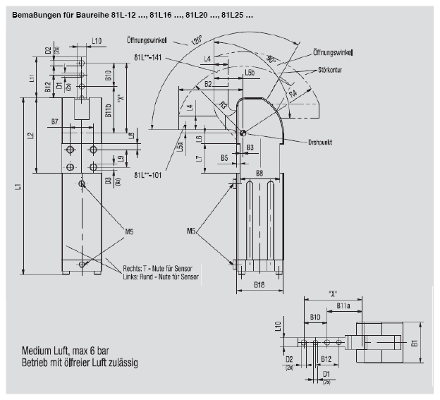 DESTACO 81L25-14100 Automations-Kraftspanner Haltemoment 80 Nm Spannmoment 17 Nm  Minaturausführung - 81L-1 Automations-Kraftspanner