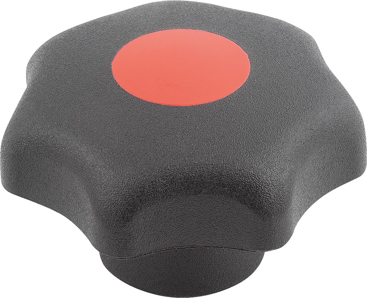Kipp K0154.2086 STERNGRIFF D1=40  M8          EDELSTAHL, FORM K, DECKEL VERKEHRSROT - K0154-2086 STERNGRIFF D1 40 M8 EDELSTAHL - FORM K - DECKEL VERKEHRSROT