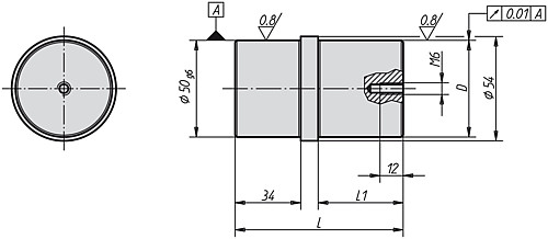Norelem 03110-5025 ZENTRIERBOLZEN FÜR MITTENBOHRUNG, D=25 - Norelem 03110 Zentrierbolzen fuer Mittenbohrung