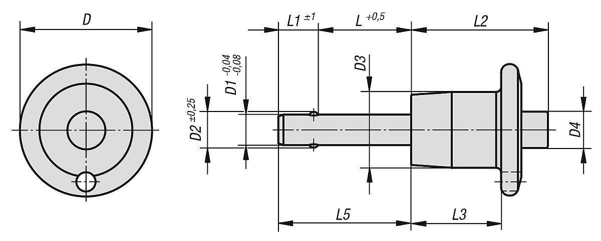 Kipp K0641.02106080 KUGELSPERRBOLZEN M. PILZKNOPF EDELSTAHL, D1=6, L=80, SELBSTS - K0641 Kugelsperrbolzen mit Pilzknopf Edelstahl selbstsichernd - Massblatt
