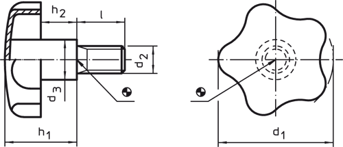 Halder 24690.0164 Sterngriffschraube rostfreier Stahl, 60 x M 12 x 50 - Sterngriffschrauben Sterngriffschraube - rostfreier Stahl - 40 x M 8 x 30
