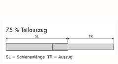 01 Teilauszug - Mittlere Teleskopschienen