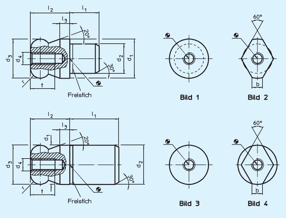 Halder 22630.0620 Aufnahmebolzen mit Kugel ansatz Ø 20 x 20, Kugel ansatz abgeflacht, nicht abgesetzt, Stahl - EH 22630 Aufnahmebolzen mit Kugel ansatz