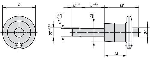 Kipp K0641.02510060 KUGELSPERRBOLZEN M. PILZKNOPF EDELSTAHL, D1=10, L=60, SELBST - KIPP K0641 Kugelsperrbolzen mit Pilzknopf Edelstah