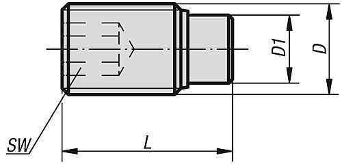 Kipp K0667.1041X17 DRUCKSCHRAUBE M4X17,0, EDELSTAHL, MIT KUNSTSTOFFBOLZEN POM - KIPP K0667 Druckschrauben Edelstahl