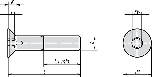 Leschhorn SENKSCHRAUBE DIN EN ISO 10642, EDELSTAHL -A4, D=M5, L=16 - K0708 Senkschrauben mit Innensechskant DIN EN ISO 10642 - Stahl oder Edelstahl -A2- - TZ