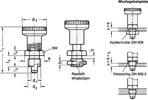 Ganter 607-6-A-NI EDELSTAHL RASTBOLZEN - GN 607 Rastbolzen - Stahl - Kunststoff Knopf-Skizze