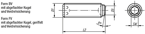 Kipp K0383.50820 KUGELDRUCKSCHRAUBE FORM BV, OHNE KOPF, D1=M8, L2=20 - KIPP K0383 Kugeldruckschrauben ohne Kopf mit abgeflachter Kugel und Verdrehsicherung