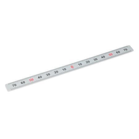 Ganter 711-KUS-100-S-M KUNSTSTOFF MASSSTAB - GN-711-Massstaebe-Kunststoff-Edelstahl