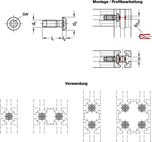 Ganter 21B-10S1230-A-SZ  Zentralschrauben, Stahl, für Aluprofile (b-Baukasten), Werkstoff / Oberfläche: SZ - Stahl, verzinkt, blau passiviert, Nutbreite n: 10, Gewinde d1 (selbstformend): S 12 - GN 21b Zentralschrauben - Stahl - fuer Aluprofile - b-Baukasten - Massblatt