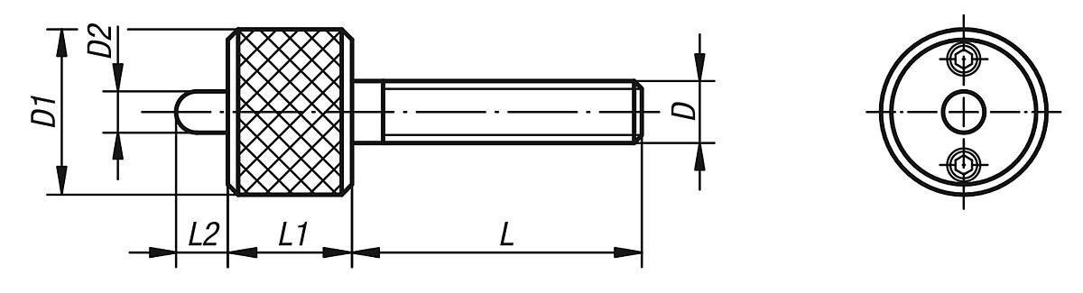 Norelem 07132-12 DREHMOMENTSCHRAUBE M. AUFLAGEBOCK, D=M12 - NLM 07132 Drehmomentschrauben  mit Auflagebock - Massblatt