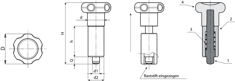 Leschhorn W806 W806 Rastbolzen glatt, ohne Rastsperre ohne Rastsperre D 22; H 45; d2 12; d1 05; - Boteco W806 Rastbolzen ohne Rastsperre