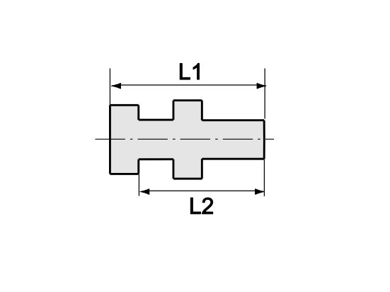 RIEGLER 252.41-ES Schottverschraubung, G 1/4 a., G 1/8 i., Edelstahl 1.4571 - RIEGLER Schottverschraubung - Edelstahl 1-4571 - Skizze