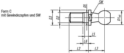 Leschhorn 09129.C05-00 Kugelzapfen für Winkelgelenke DIN 71803 FORM C, D1=16H9, M12, blank, geölt - 09129 Kugelzapfen fuer Winkelgelenke DIN 71803 C -Skizze