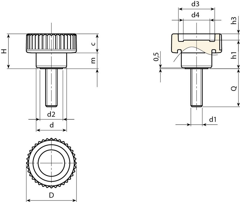 Leschhorn H766 Rändelhohlschrauben  D 21; d 13; Gewinde d1 M5; Kunststoff PA, schwarz, - Boteco H766 Raendelhohlschrauben