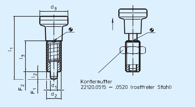 Halder 22120.0478 Rastbolzen ohne Sechskantbund Ø 8, rostfreier Stahl - Rastbolzen Rastbolzen ohne Sechskantbund - Durchmesser 6 - rostfreier Stahl Rostfreier Stahl