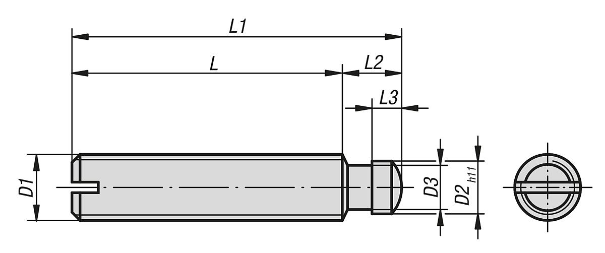 Kipp K0390.06X30 GEWINDESTIFT MIT DRUCKZAPFEN, DIN 6332, D1=M6, L1=30 - K0390 Gewindestifte mit Druckzapfen DIN 6332 - Massblatt