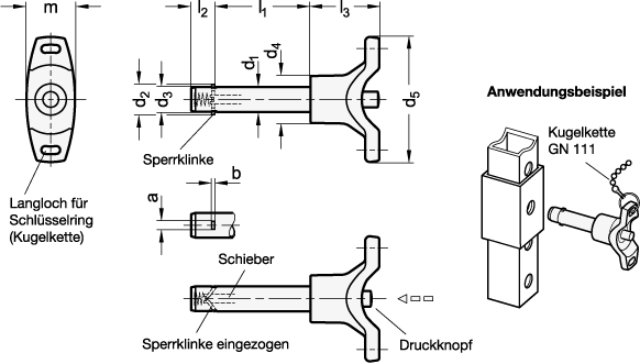 Ganter 114.8-10-100  Steckbolzen, Bolzen Edelstahl, T-Griff Kunststoff, mit Axialsicherung (Sperrklinke), Durchmesser d1: 10, Länge l1: 100, a: 3.3 - GN 114-8 Steckbolzen-Bolzen Edelstahl-T-Griff Kunststoff-Axialsicherung-Sperrklinke-Massblatt