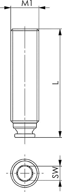 AMF 7600S-22 Kugeldruckschraube, Größe : 22, SW: 6, L: 43 - LE 7600S Kugeldruckschraube -Skizze