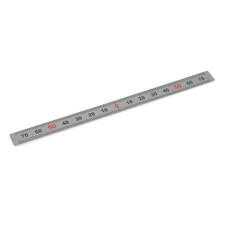 Ganter 711-KUS-100-S-M KUNSTSTOFF MASSSTAB - GN-711-Massstaebe-Kunststoff-Edelstahl