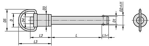 Kipp K0746.02112020 KUGELSPERRBOLZEN M. RINGGRIFF  D1=12, L=20, SELBSTSICHERND EDELSTAHL - KIPP K0746 Kugelsperrbolzen mit Ringgriff Edelstah