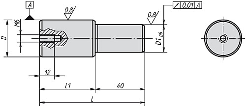 Kipp K0858.2520 ZENTRIERBOLZEN FÜR RICHTBOHRUNG, D=25, D1=20, L=75 - KIPP K0858 Zentrierbolzen fuer Richtbohrung
