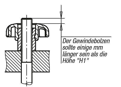 Kipp K0156.05 SCHNELLSPANN STERNGRIFF D1=25  M5, - KIPP K0156 Schnellspann Sterngriffe