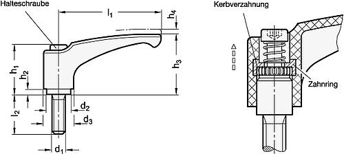 Ganter 604.1-63-M6-16-SGA Verstellbare Klemmhebel, aus antibakteriellem Kunststoff, Schraube Edelstahl - GN 604-1 Verstellbare Klemmhebel - aus antibakteriellem Kunststoff - Schraube Edelstahl-Abbildung