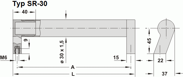 Leschhorn SR-30.250.N01 Schrägstehende Rohrgriffe Rohr Ø 30X1,5 mm A 250,  Schenkel natur / Rohr natur Griff aus Einzelelementen, komplett montiert - Leschhorn SR-30 schraegstehende Rohrgriffe