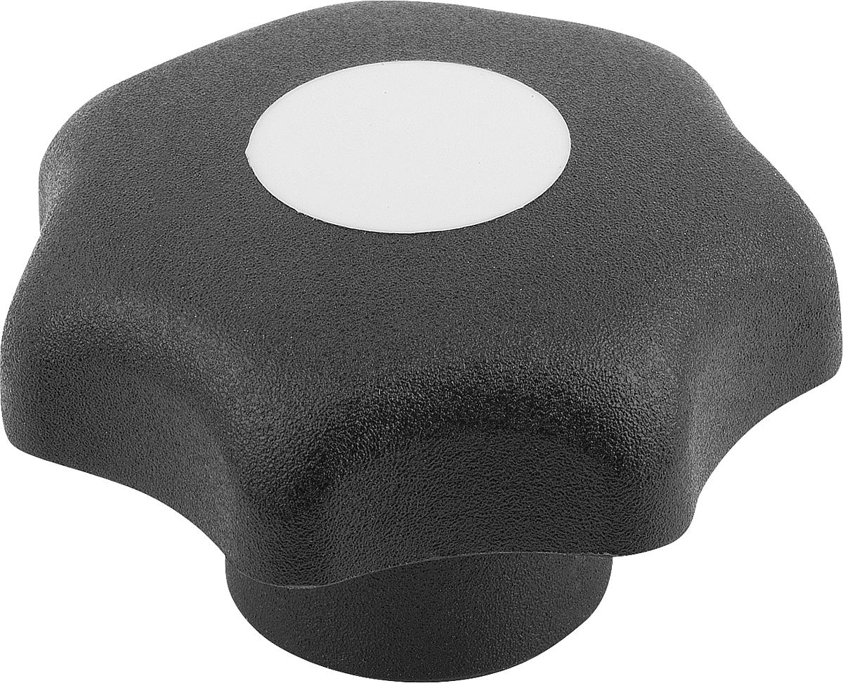 Kipp K0154.2125 STERNGRIFF D1=63  M12         EDELSTAHL, FORM K, DECKEL LICHTGRAU - K0154-2125 STERNGRIFF D1 63 M12 EDELSTAHL - FORM K - DECKEL LICHTGRAU