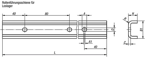 Norelem 21320-220X0800 FÜHRUNGSSCHIENE, LOSLAGER, L=800 MM - Norelem 21320-L Rollenfuehrungsschienen fuer Loslager