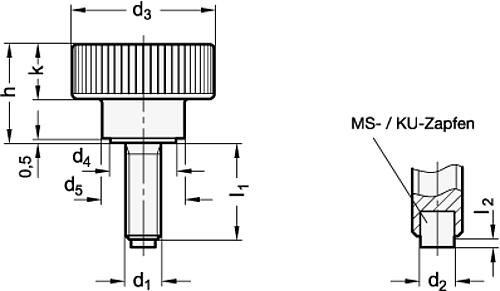 Ganter 421.10-M10-20-KU RÄNDELHOHLSCHRAUBE MIT KUNSTSTOFFZAPFEN - GN 421-10 Raendelhohlschrauben mit mit Messing - Kunststoff Druckzapfen-Skizze