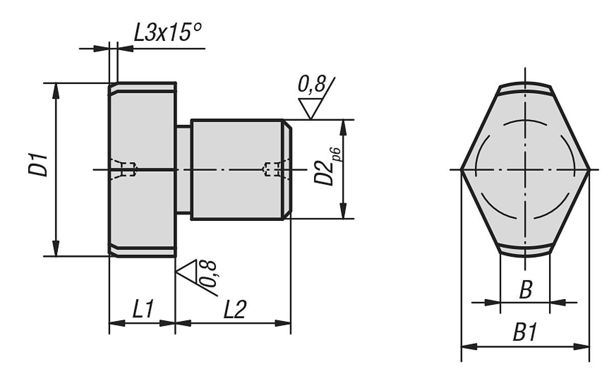 Kipp K0355.121 FREIGEFRÄSTER POSITIONSSTIFT    BR, UNGESCHLIFFEN  D1=20,5, - K0355 Freigefraeste Positionsstifte ungeschliffen - Massblatt
