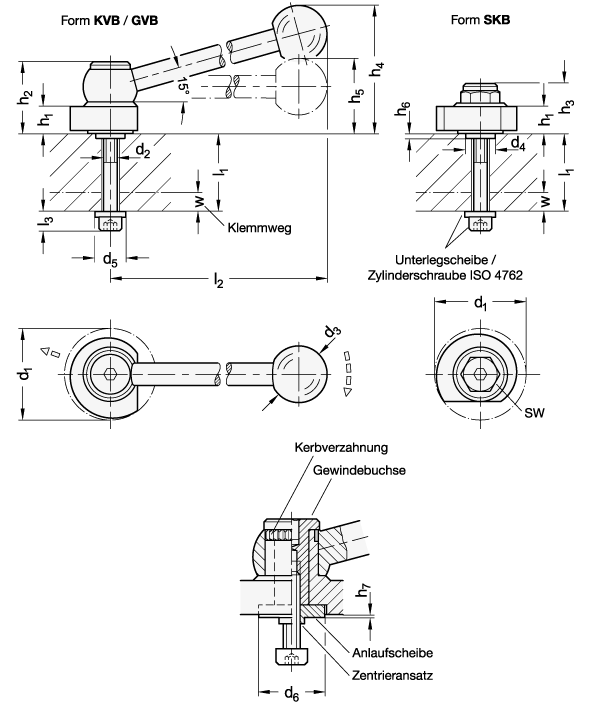 Ganter 918.5-40-GVB-L-12  Spiralexzenter, Edelstahl, Spannung radial, Schraube von der Rückseite, Durchmesser d1: 40, l1 max.: 12, Form: GVB - mit Kugelgriff, gerade (Kerbverzahnung) - GN 918-5 Spiralexzenter-Edelstahl-Spannung radial-Schraube von der Rueckseite-Massblatt