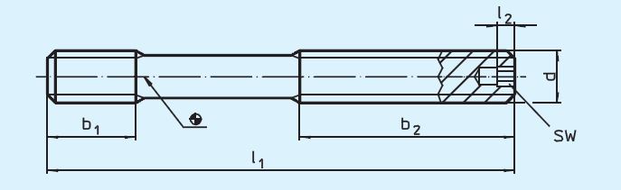 Halder 23040.0763 Stiftschraube mit Innensechskant ähnlich DIN 6379, für Muttern für T-Nuten M 16 x 125, Güte 12.9 - EH 23040 Stiftschrauben mit Innensechskant - aehnlich DIN 6379