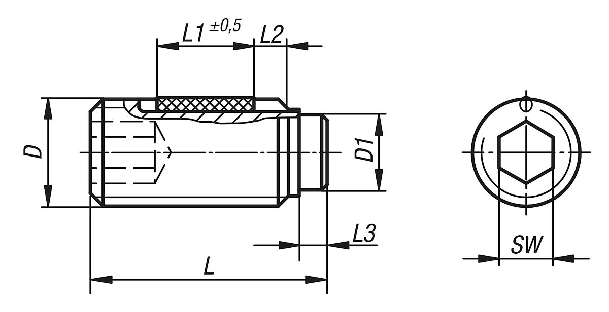 Kipp K0668.210X52 DRUCKSCHRAUBE M10X52 MIT MESSINGBOLZEN  LONG LOK - K0668 Druckschrauben LONG LOK gesichert - Massblatt