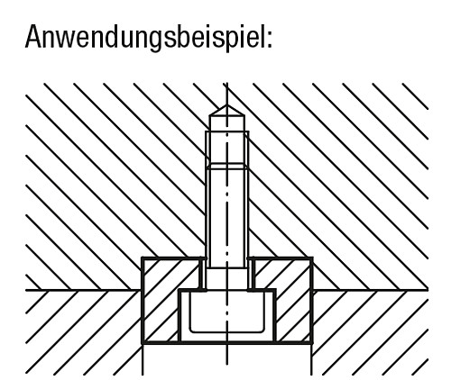 Kipp K0864.10 FLACHER NUTENSTEIN, B=10H6 - KIPP K0864 Flache Nutensteine
