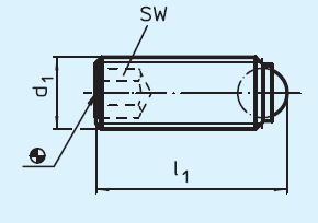 Halder 22720.0355 Kugeldruckschraube ohne Kopf M 5 x 16, volle Kugel aus Thermoplast,  Stahl vergütet - EH 22720 Kugeldruckschrauben ohne Kopf mit voller Kugel