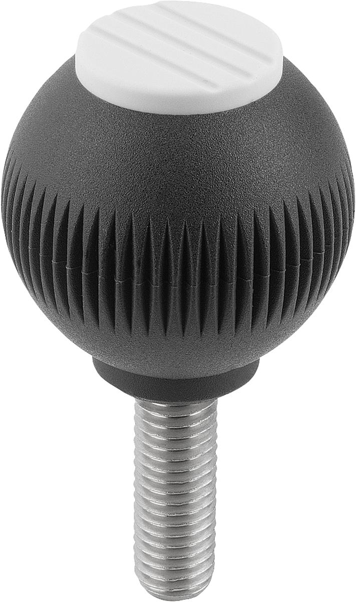 Kipp K0253.04125X30 NOVO.GRIP GRIFFKUGEL GR.4          EDELSTAHL, D=50, M12X30,DECKEL LICHTGRAU - K0253-04125X30 NOVO GRIP GRIFFKUGEL GR 4 EDELSTAHL - D 50 - M12X30 - DECKEL LICHTGRAU