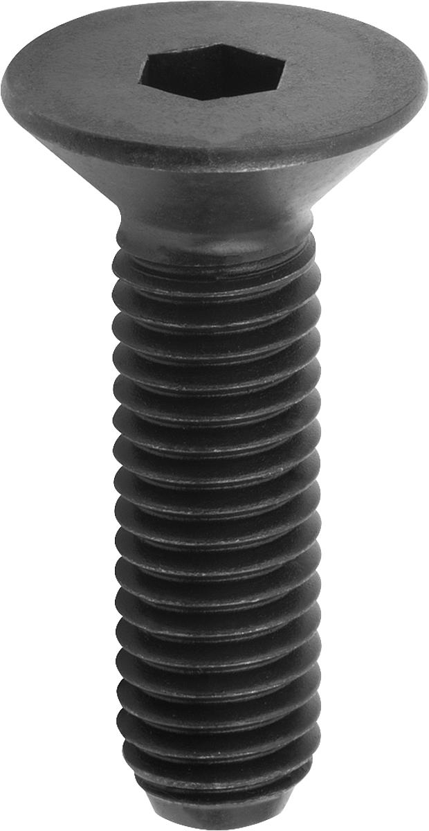 Norelem 07175-308X16 SENKSCHRAUBE MIT INNENSECHSKANT DIN EN ISO10642 M08X16, STAHL 10.9 BLANK, (SCHWARZ) - 07175-308X16 SENKSCHRAUBE MIT INNENSECHSKANT DIN EN ISO10642 M08X16 - STAHL 10-9 BLANK - -SCHWARZ-