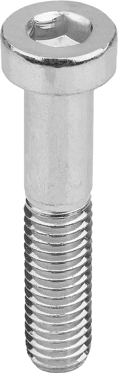 Norelem 6912 07161-405X25 ZYLINDERSCHRAUBE MIT INNENSECHSKANT, M05X25 STAHL, VERZINKT 8.8, DIN6912 - 6912 07161-405X25 ZYLINDERSCHRAUBE MIT INNENSECHSKANT - M05X25 STAHL - VERZINKT 8-8 - DIN6912